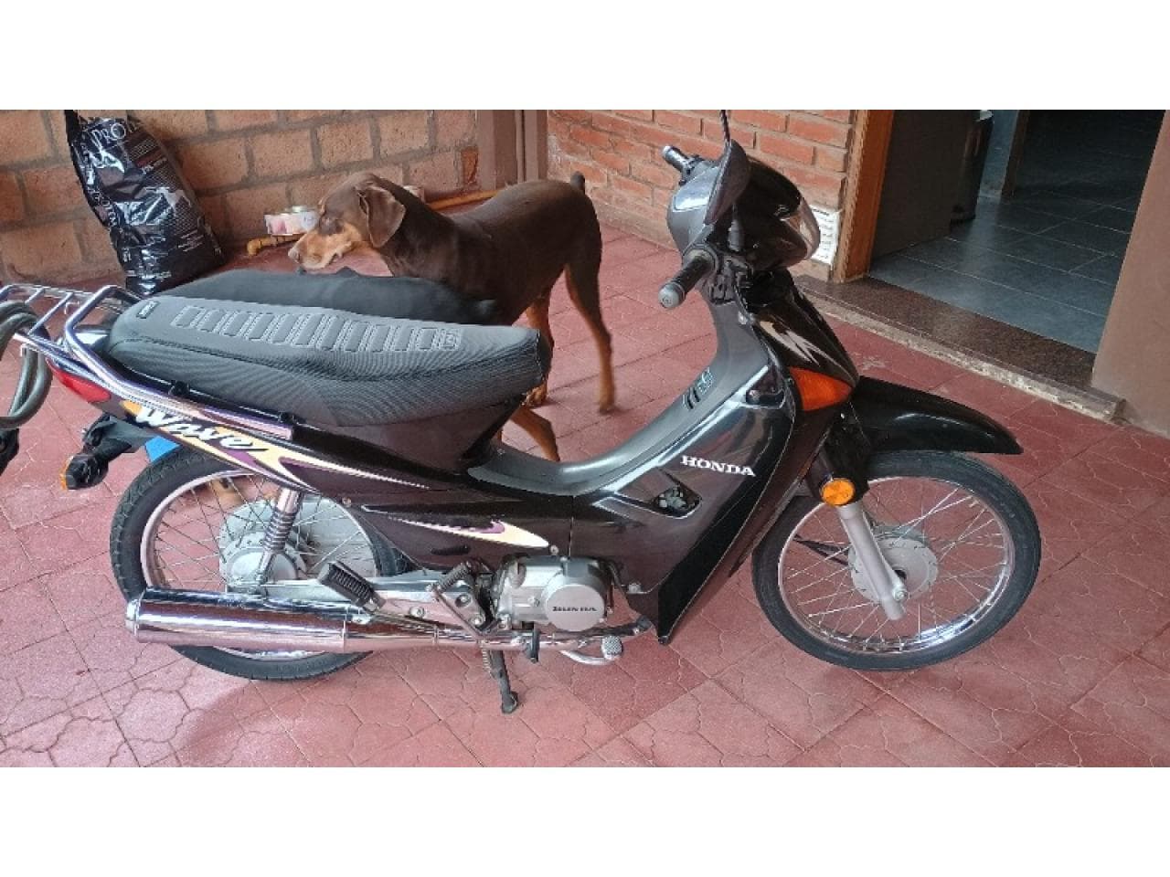Honda Weve 110