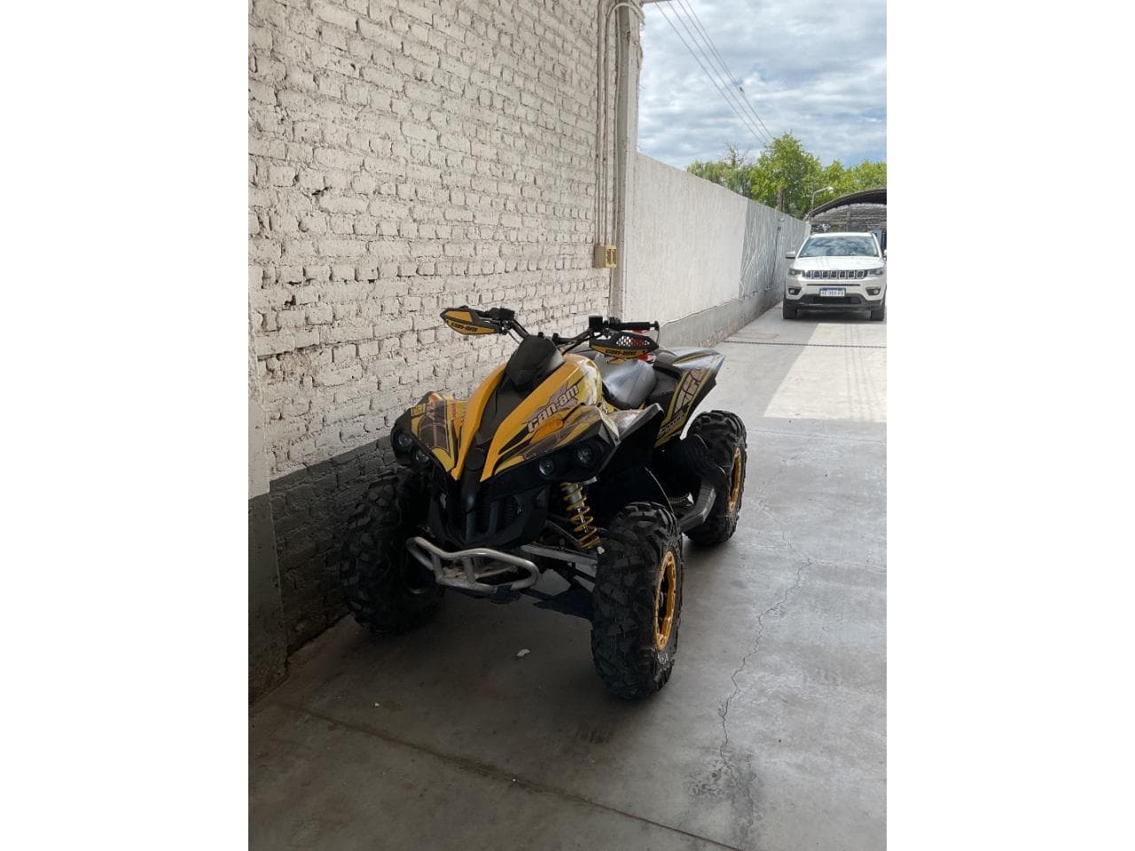 Can Am Renegade 800xc