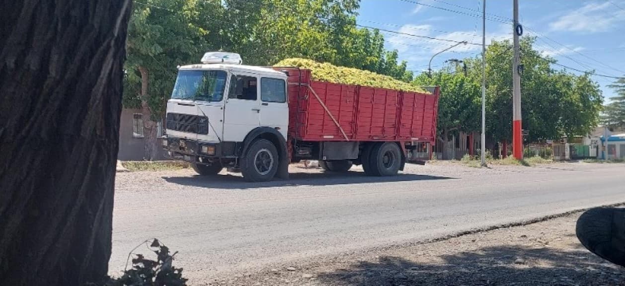 Fiat 619 N1 Modelo 84 Recibo Vehículo Menor Valor