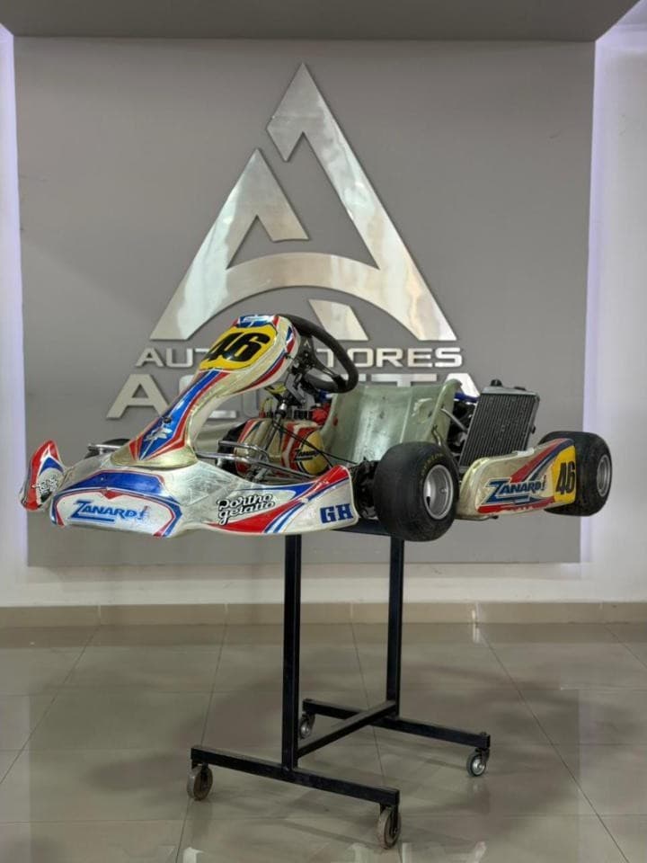 Kart Rotax 125cc 2017