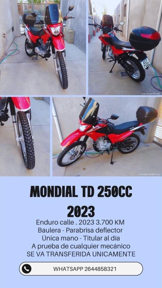 Mondial Td 250 - 2023