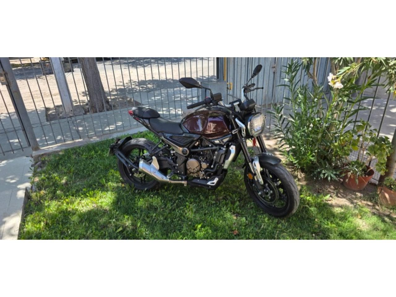 Titular Vende Voge 300ac