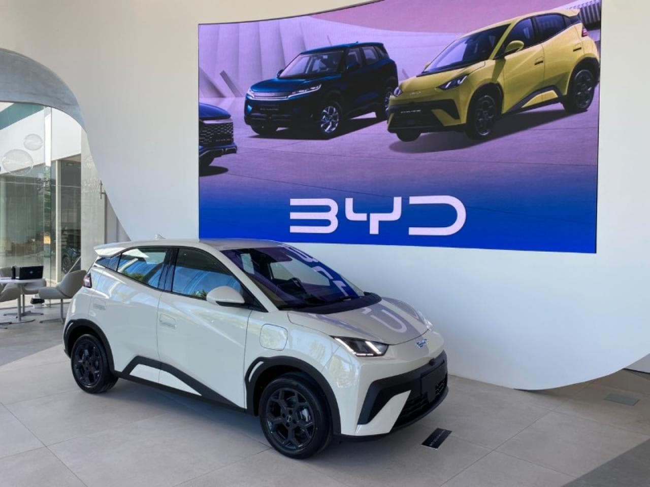 Byd Dolphin Mini Gl & Gs Yacopini Oficial