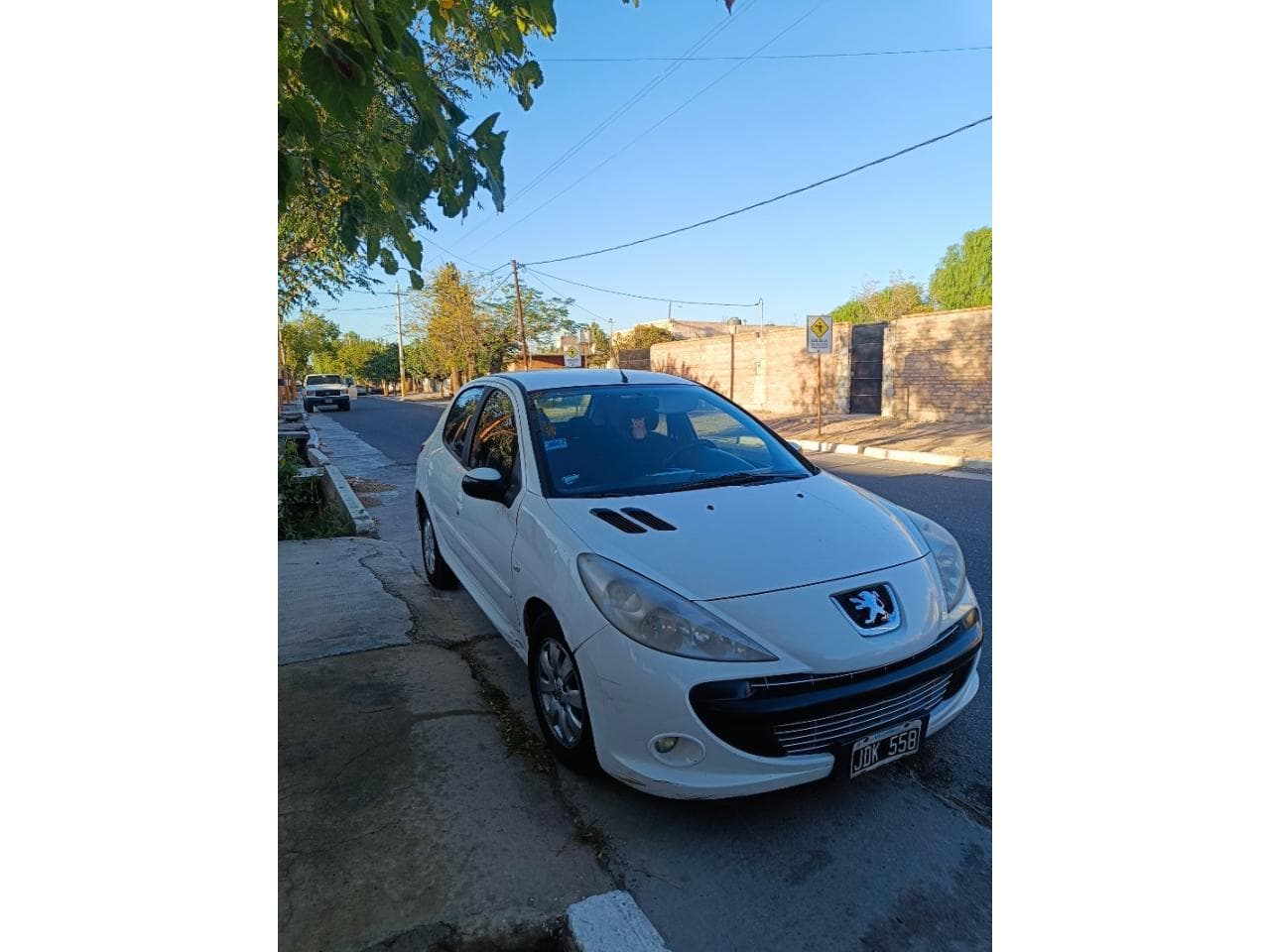 Peugeot 207 1.9 2010